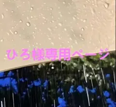 ひろ様専用ページ