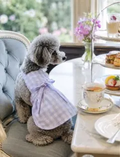 ハンドメイド 犬服 アフタヌーンティー　メイドさんワンピース リボン付き