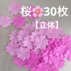 チャッピー様 リクエスト 2点 まとめ商品