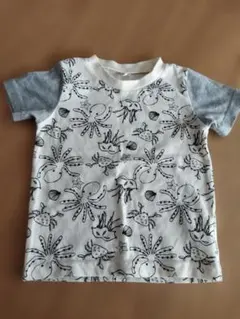 Item thumbnail for item 00545502-38f1-4400-b9bf-b386260292d4