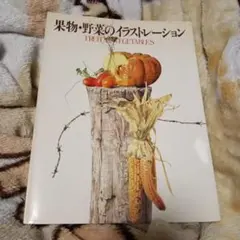 果物・野菜のイラストレーション