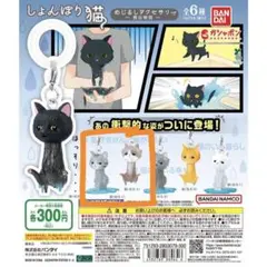 しょんぼり猫 めじるしアクセサリー 救出物語