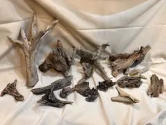 流木 14点セット 自然素材 花 アクアリウム 工作 インディアンジュエリー