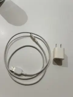 USB to LightningケーブルとACアダプタセット