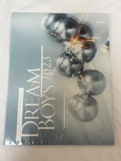 DREAM BOYS 2023 パンフレット 渡辺翔太 森本慎太郎　帝国劇場