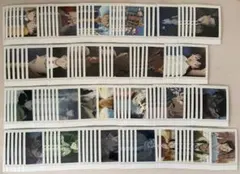 名探偵コナン　ぱしゃこれ　隻眼の残像　セミコンプリート　165枚セット