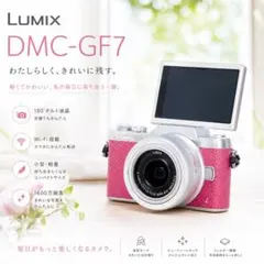 2026年最新】lumix gf9の人気アイテム - メルカリ