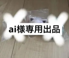 専用出品