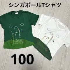 グリーン・シンガポールTシャツセット　100 双子　お揃い
