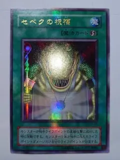 遊戯王 プリンセス・コロン エラーカード コレクターズレア 加工ズレ