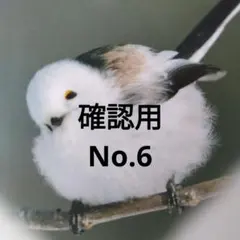 確認用No.6
