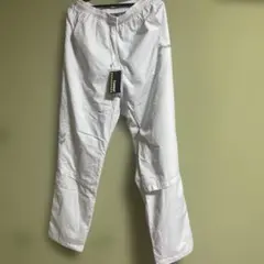 Item thumbnail for item b38d1028-61aa-44e3-a9e9-c189ba097892