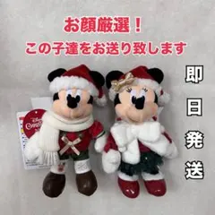 ディズニー クリスマス ぬいぐるみ バッジ ミッキー ミニー セット
