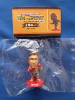 プロ格ヒーローズ　プロレス　フィギュア　25体セット Yahoo!オークション -「プロ格ヒーローズ タイガーマスク」の
