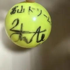 富山ドーリムス渋谷優斗選手サイン入り　カラーボール