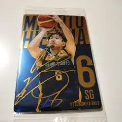 Item thumbnail for item 50b92b8e-a2a3-48ff-b95b-f81be2f89209