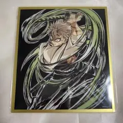 鬼滅の刃　アクリル色紙　イラストギャラリー　WEBSHOPくじ　不死川実弥　２種 鬼滅の刃 コミケ 幕間画集 WEBSHOP くじ デザインアクリル色紙