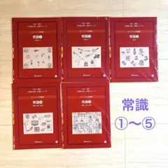 伸芽会オリジナル問題集　改訂版&旧版　45冊 2026年最新】伸芽会オリジナル問題集の人気アイテム - メルカリ