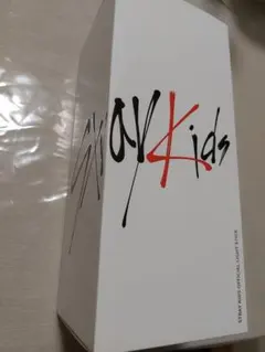 Stray Kids 公式ペンライト