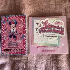 ミニー　リゾラ　フリー切符　パルパルーザ