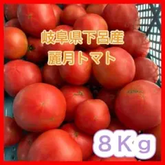 規格外品 農家直送 大玉トマト 麗月 8Kg 訳あり 飛騨トマト