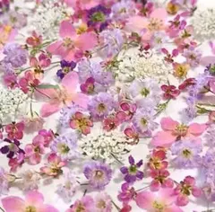 Chrome様 リクエスト 2点 まとめ商品