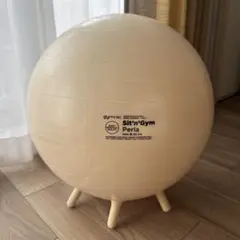 ギムニク バランスボール シッティング ジム 55cm パール