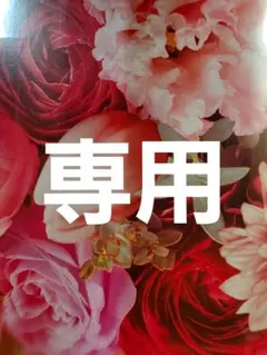 mer 様専用 他の方は購入をお控え下さい