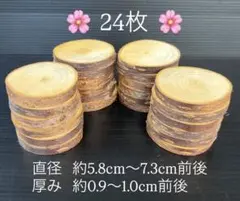 桜　24枚　輪切り　切り株　丸太