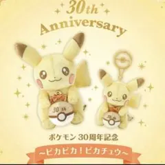 未開封 ポケモン 30周年記念 ピカチュウ ぬいぐるみ マスコット 2点