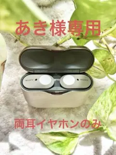 あき様専用　ジャンク　SONY ワイヤレスイヤホン