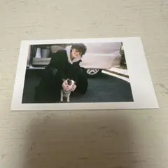 2026年最新】佐野勇斗 トレカの人気アイテム - メルカリ