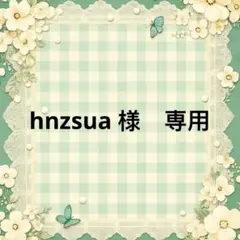 hnzsua 様　專用