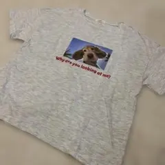 韓国服 nightbebe ダックス 犬 Tシャツ Lサイズ