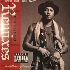 D'Angelo Voodoo LP 180g 重量盤 アナログレコード - メルカリ