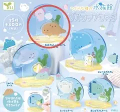 つぶらな瞳の水族館 おおさんしょううおさんチームのサムネイル