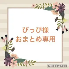 ぴっぴ様 おまとめ専用　⑦⑧＆多肉アンセット