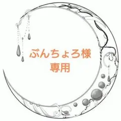 専用
