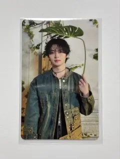 スキズ Hollow リノ a トレカ