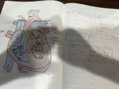 Item thumbnail for item f231bf5c-1183-4429-998d-2f8107729170