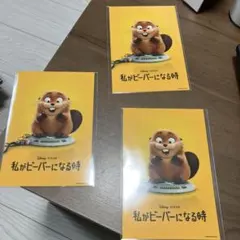 新品未使用ディズニー私がビーバーになる時ポストカード非売品まとめ売り3枚セット