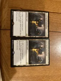 Item thumbnail for item 3b78d621-f626-4b43-852d-edbd5bc0e3b6