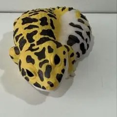 てのりフレンズ8 レオパ（ヒョウモントカゲモドキ）