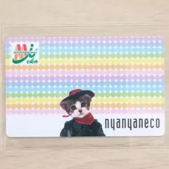 なめ猫 免許証 nanaco風カード 猫 可愛い猫 写真 又吉 みけこ 3