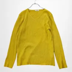アイテムズアーバンリサーチ Vネックリブニット 長袖 マスタード色 洗える