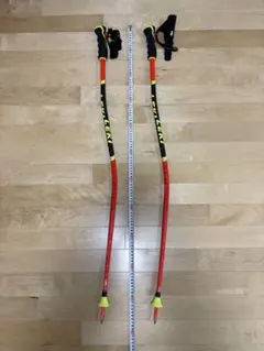 LEKI アルペンスキー用ストック 約105cm