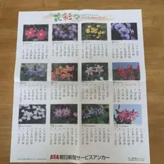 Item thumbnail for item 2b92533e-7b3d-4045-9b24-bffa26dde555