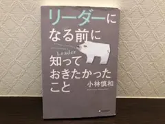 Item thumbnail for item 1835a16d-e2e2-4d75-998b-fb68392cc5e1