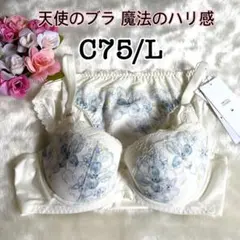 C75/L◆トリンプ TR636天使のブラ 魔法のハリ感◆ブラ&ショーツ◆