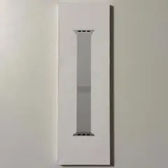 Apple Watch ミラネーゼループ シルバー 45mm